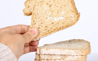 Varietat Pa de motlle sense gluten