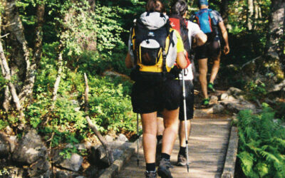 CONSELLS PER A ESPORTISTES CELÍACS